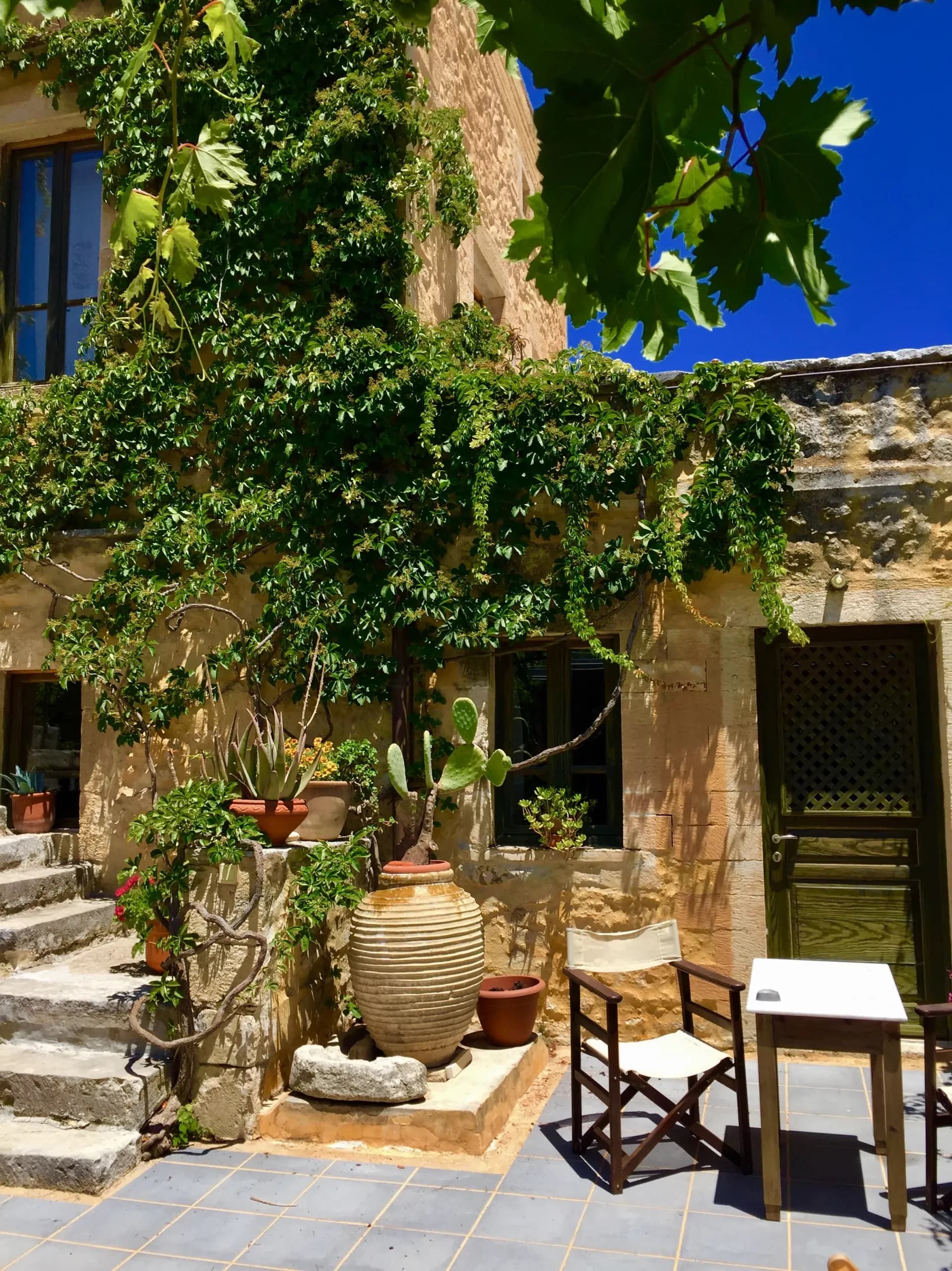 Villa courtyard with climbing vines and traditional pottery in spring