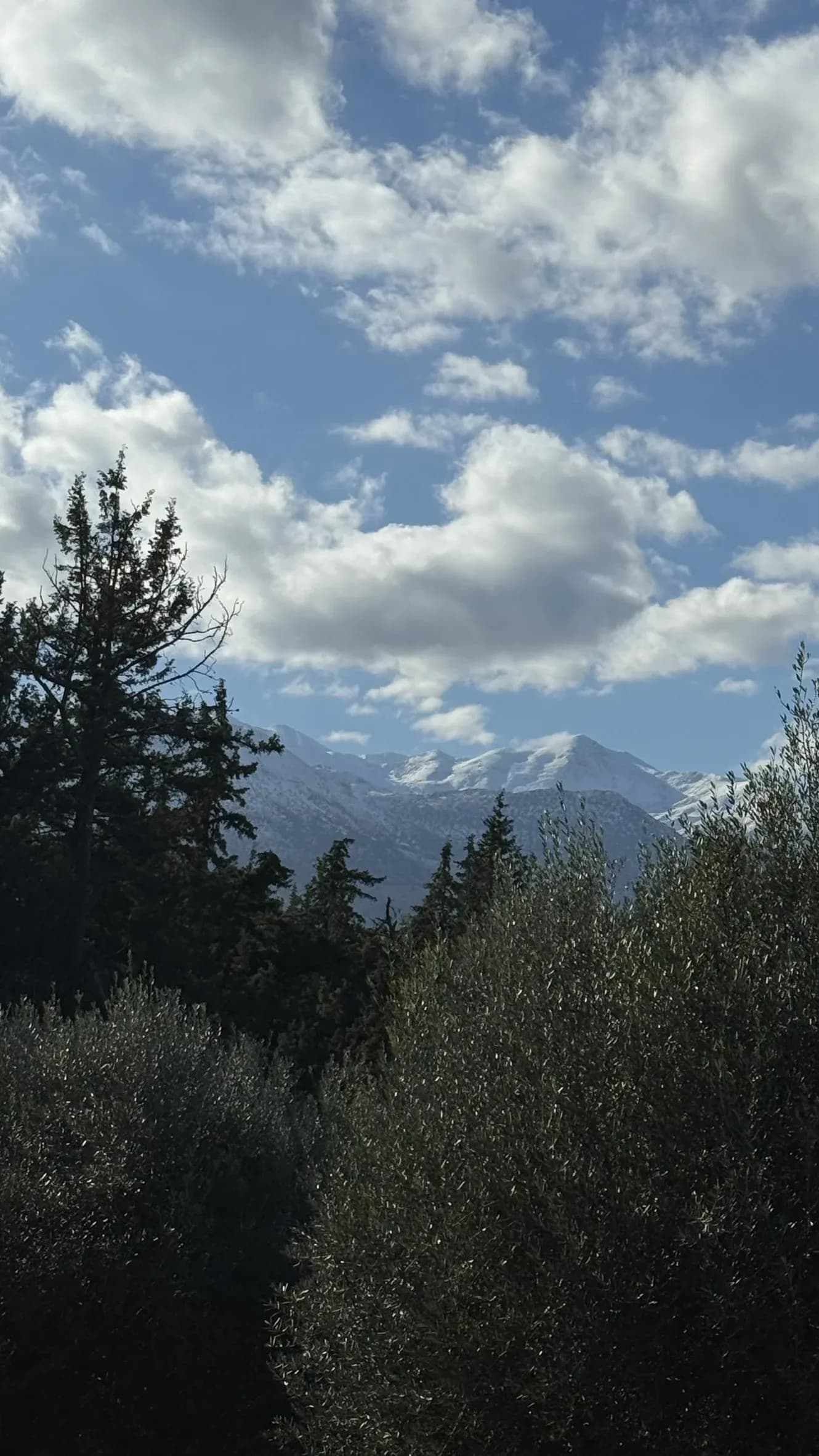 Winter in Apokoronas: Why January is the Greenest Month